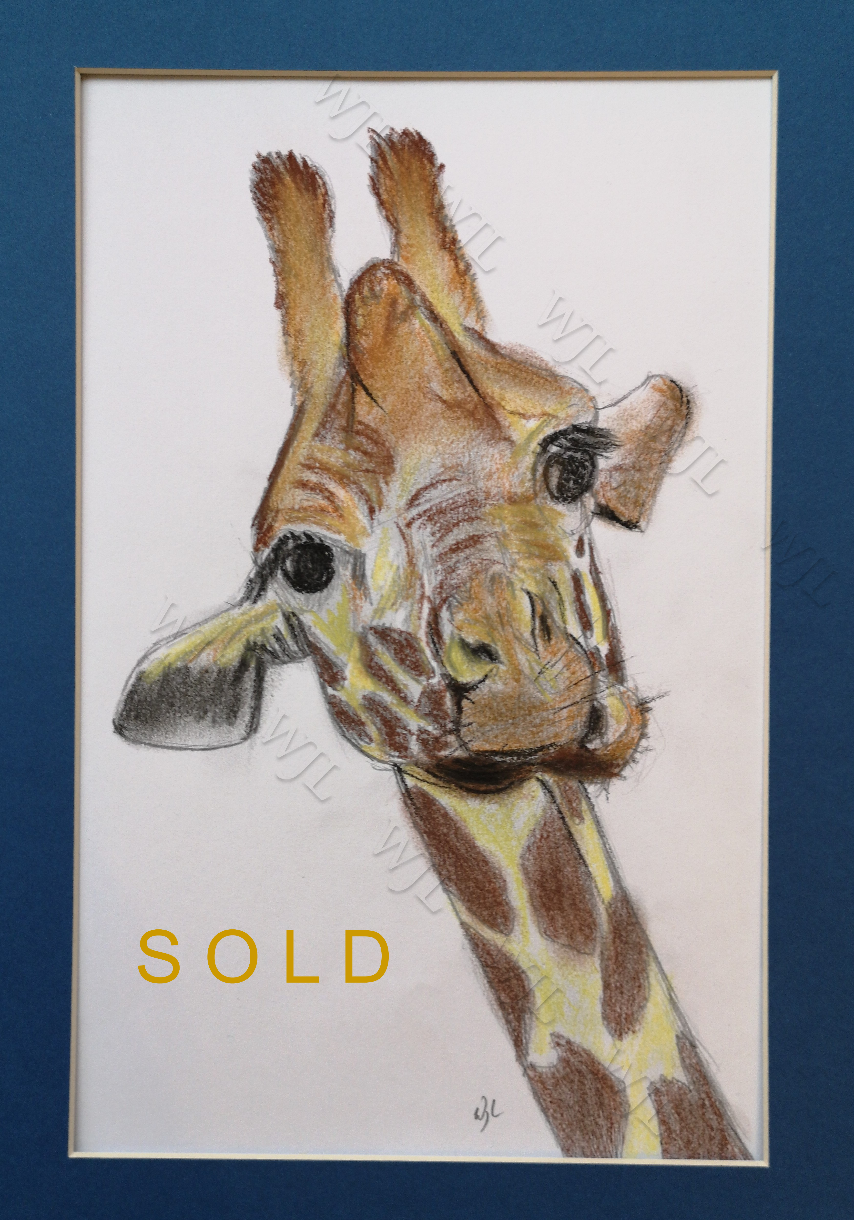 Giraffe - SOLD